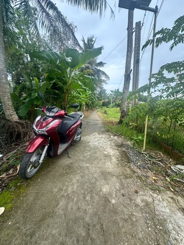 Đất nền thổ cư Giai Xuân Phong Điền 300m² giá 1.099 tỷ - Tiềm năng tăng giá cao!