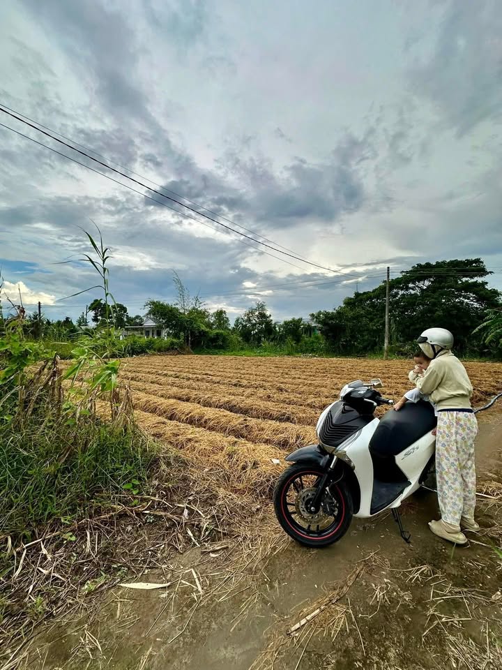 Đất nền đẹp Đông Thuận 330m² giá 350 triệu - Tiềm năng đầu tư hấp dẫn!