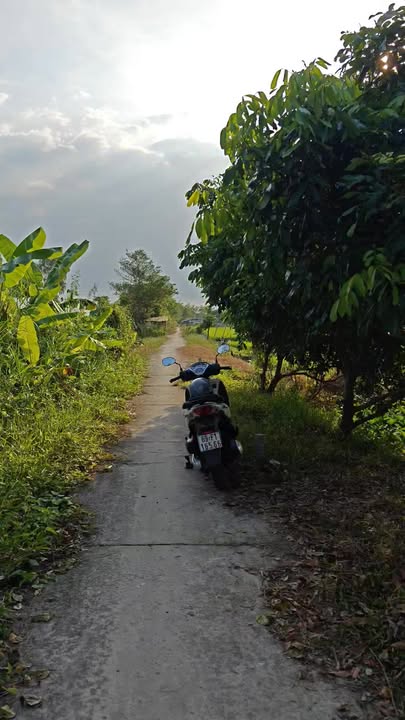 Đất nền Trường Long, Huyện Phong Điền 1620m² giá 760 triệu - Pháp lý rõ ràng, lên thổ cư ngay!