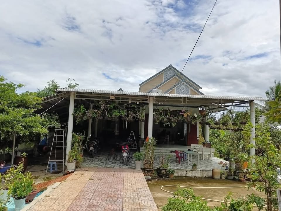 Farm 5780m² tại Phú Hữu, Châu Thành, Hậu Giang giá 3.9 tỷ - Tuyệt vời cho đầu tư!
