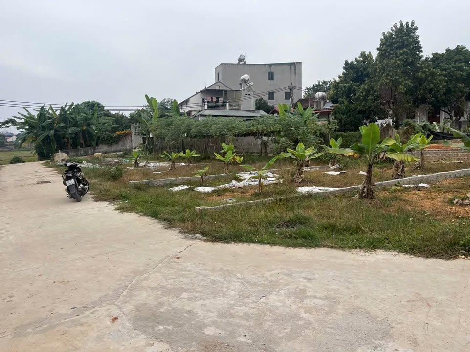 Đất thổ cư tại thị trấn Thắng, Hiệp Hòa, Bắc Giang 100m² - Đầu tư sinh lời ngay!