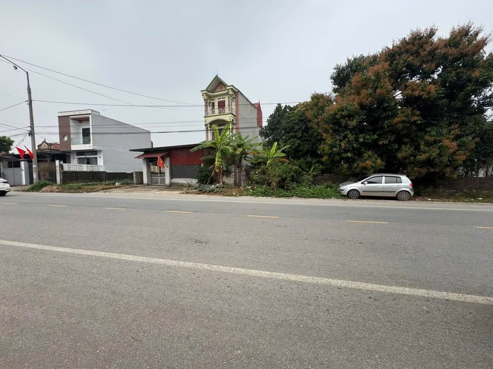 Đất mặt tiền Tỉnh Lộ 295 - Hiệp Hòa, Bắc Giang 119m² giá 3 tỷ - Cơ hội đầu tư sinh lời!