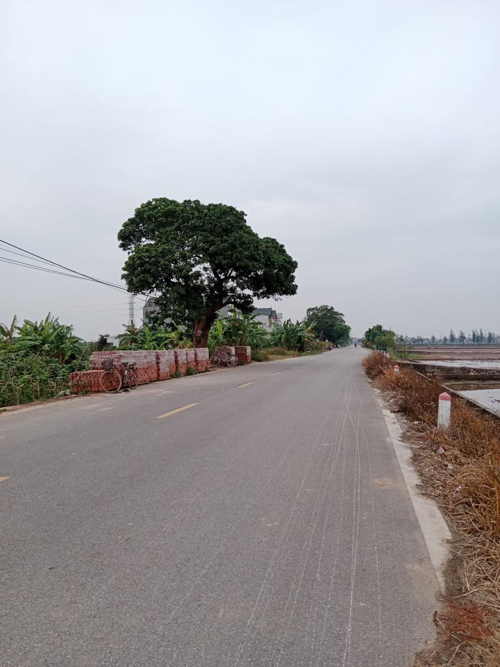 Đất nền Hòa Bình Hưng Hà 100m² - Cơ hội đầu tư hấp dẫn!