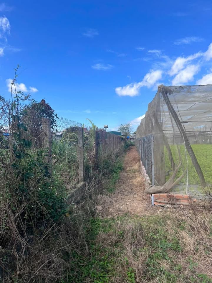 Đất thổ cư 93m² tại Thị trấn Ea Súp - Giá chỉ 1 tỷ - Đầu tư sinh lời ngay!