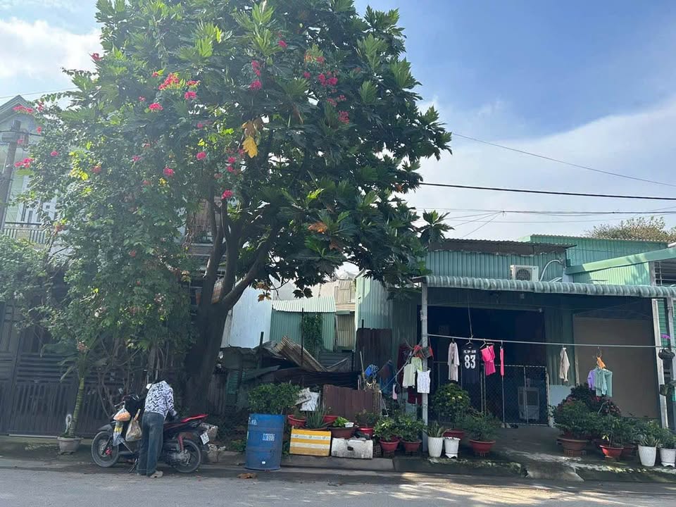 Đất nền Khu dân cư Kim Thanh, Tân Uyên, 80m² - Mặt tiền kinh doanh thuận lợi!