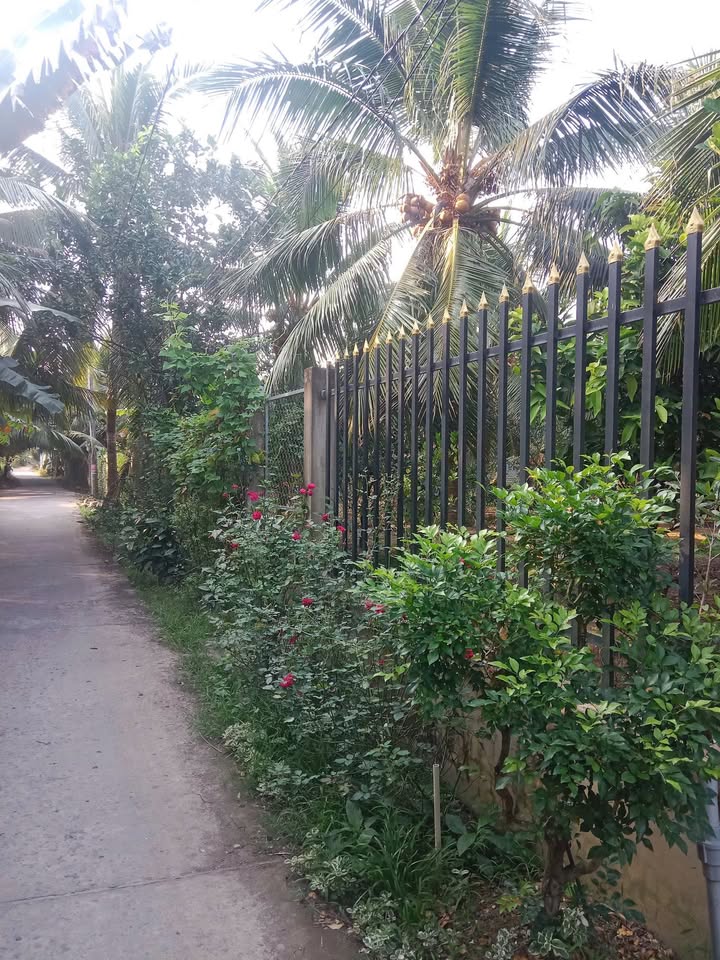 Đất vườn Phường Sơn Đông, 2300m² giá 1,35 tỷ - Đầu tư sinh lời!