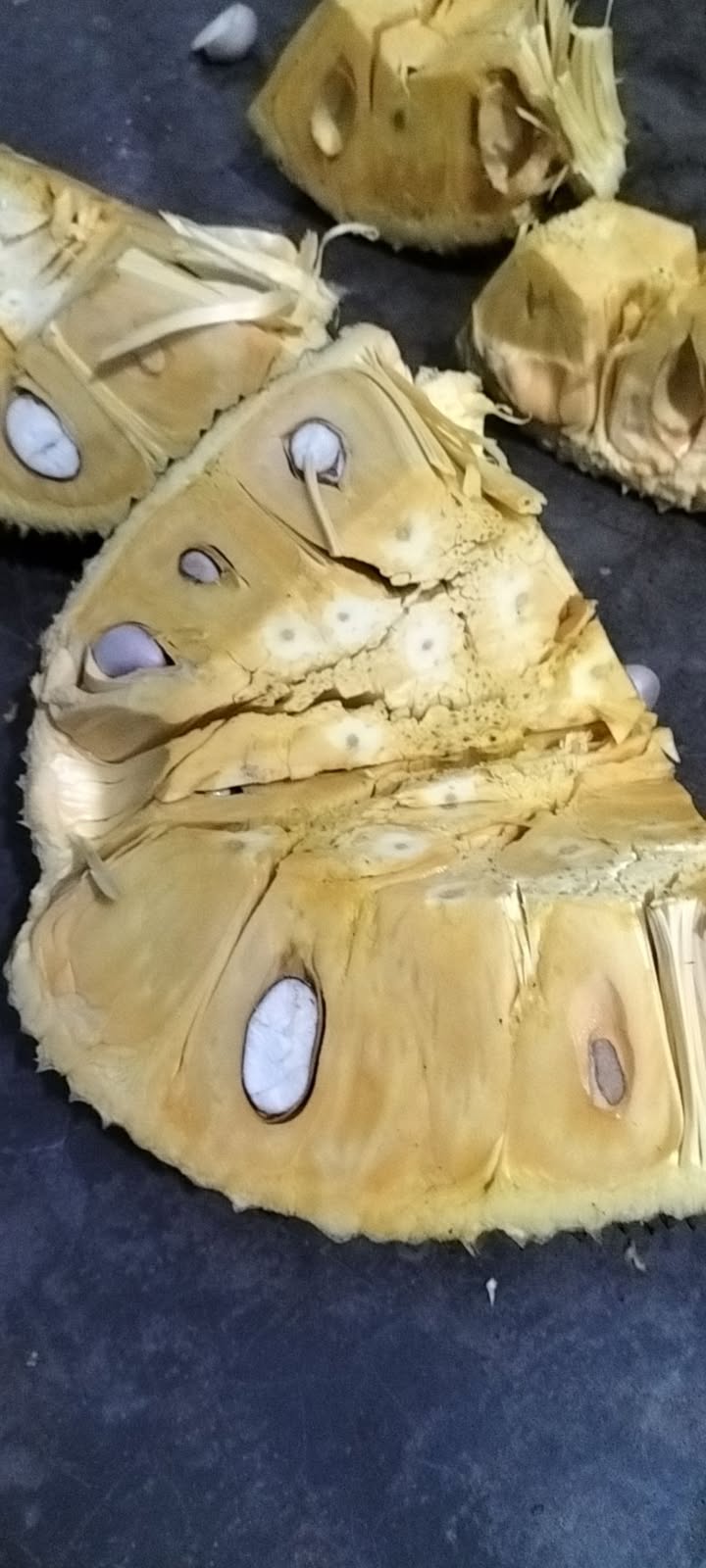 Đất nền 175m² Phường An Bình B, Thành phố Hồng Ngự chỉ 200 triệu - Sổ đỏ chính chủ!