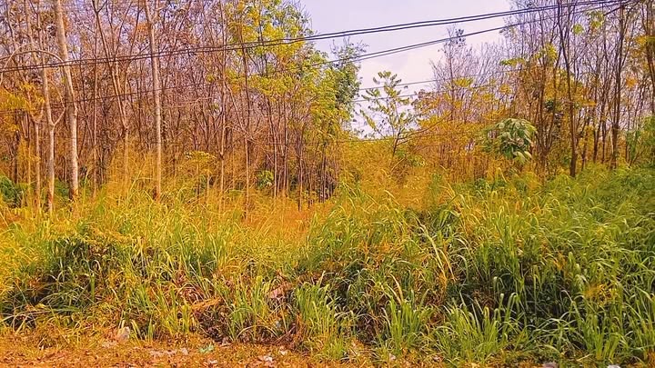 Đất nền Xã Long Nguyên 1056m² giá 1.9 tỷ - Cơ hội đầu tư hấp dẫn!