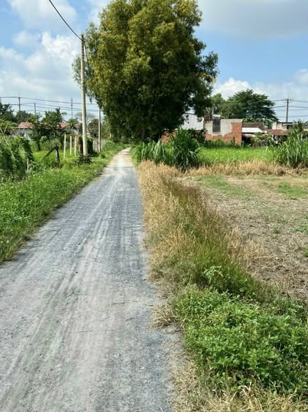 Đất nền Hòa Phú, Củ Chi 1088m² giá 6.5 tỷ - Đầu tư sinh lời hấp dẫn!