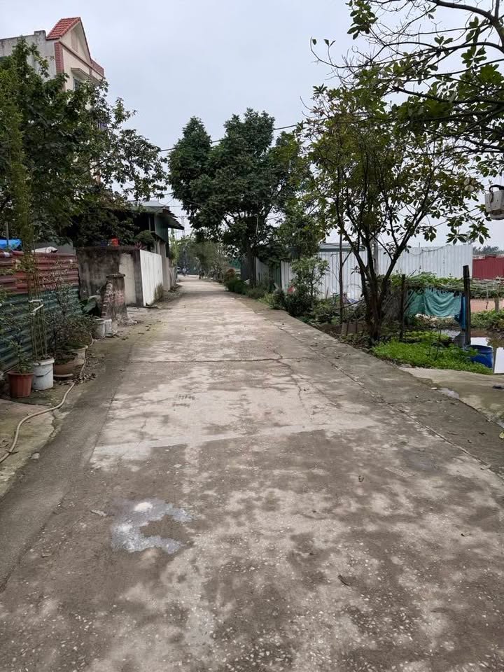 Lô đất đẹp 2 mặt ngõ Đại Áng 40m² giá 3 tỷ - Sổ đỏ chính chủ, không quy hoạch!