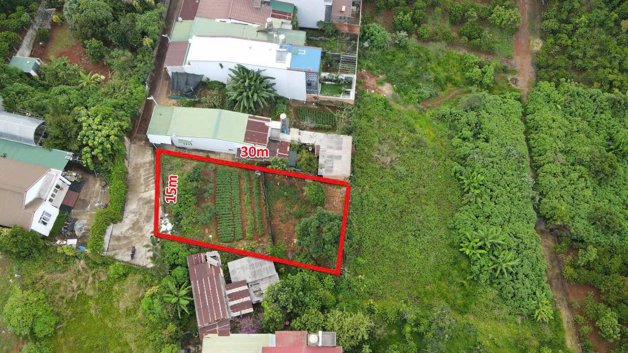 Đất chính chủ hẻm 99 Lý Chính Thắng, Phường 2, 450m² - Giá chỉ 2.75 tỷ!