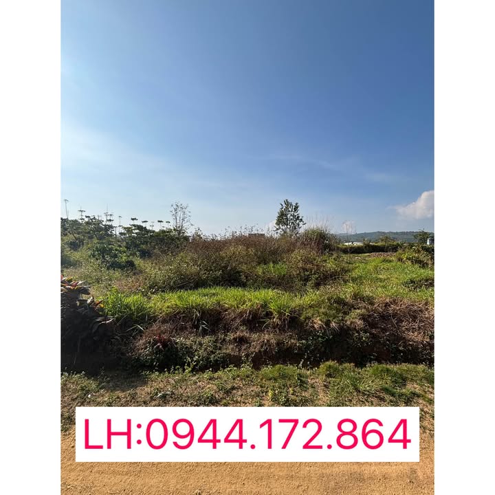 Đất đầu tư, nghỉ dưỡng tại Phường 3, Bảo Lộc, Lâm Đồng 616m² giá 1.45 tỷ - Tiềm năng sinh lời cao!