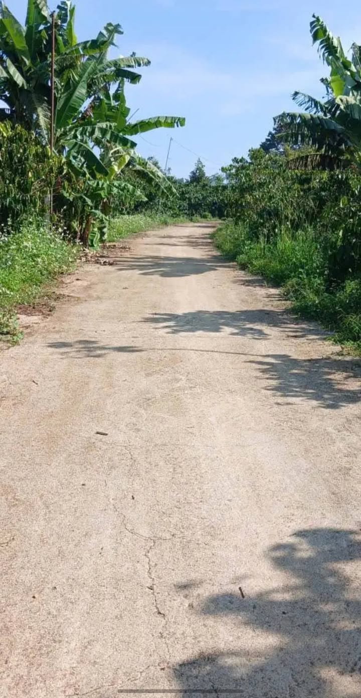 Đất nền Bảo Lâm 1214m² giá 700 triệu - Mặt tiền đường bê tông, nở hậu!