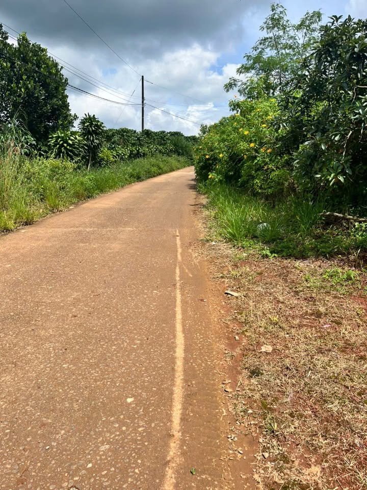 Đất nền Thôn 9, Xã Lộc Ngãi 14,800m² giá 5.04 tỷ - Sổ đỏ chính chủ, mặt tiền đường bê tông