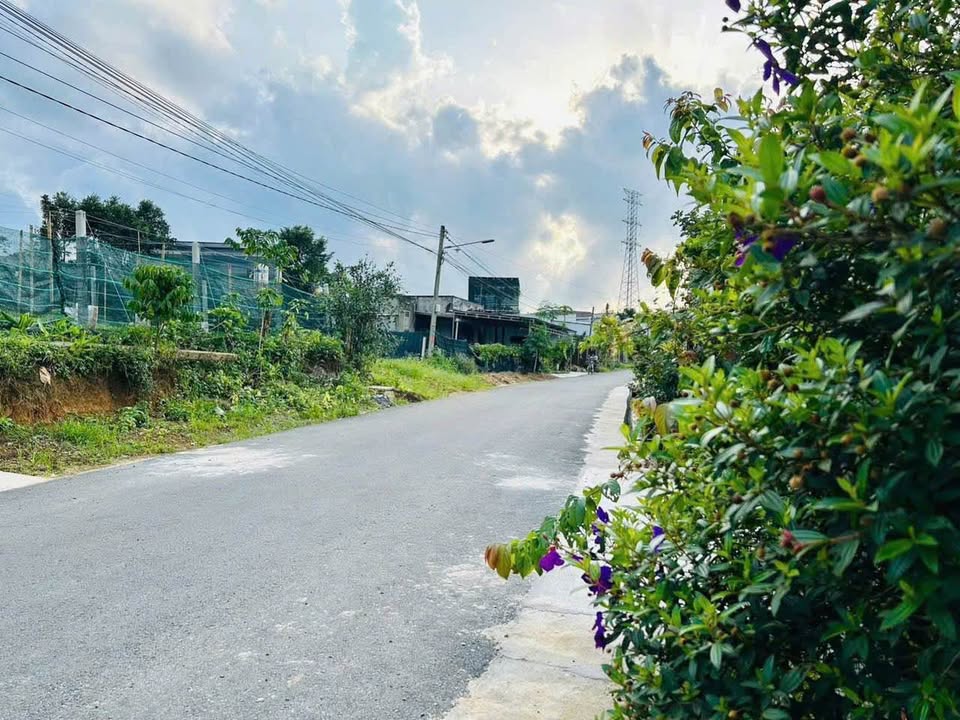 Đất thổ cư đẹp tại hẻm Ngô Tất Tố, Bảo Lộc, 271m² - Giá chỉ 1.55 tỷ!