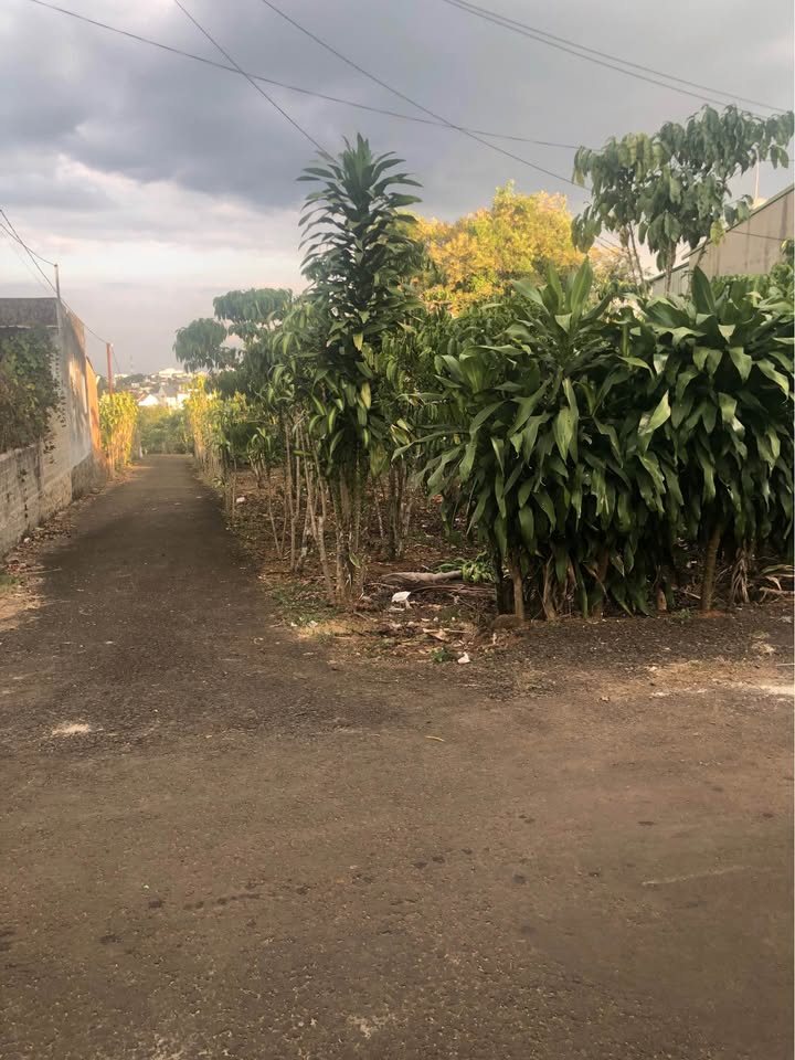 Đất nền Phường 2 Bảo Lộc 181m² giá 2 tỷ - Đường nhựa ô tô vào tận nơi!