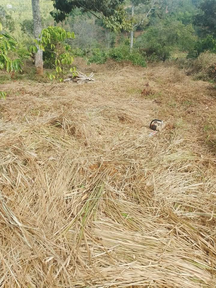 Đất nền Tân Thành, Krông Nô 2304m² giá 2 tỷ - Đường ô tô