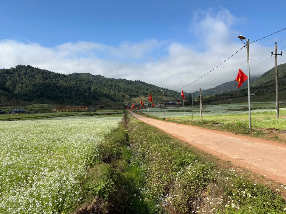 Đất thổ cư đẹp tại bản Sò Lườn, Mộc Châu 5000m² giá 4.2 tỷ - Cảnh đẹp hữu tình!