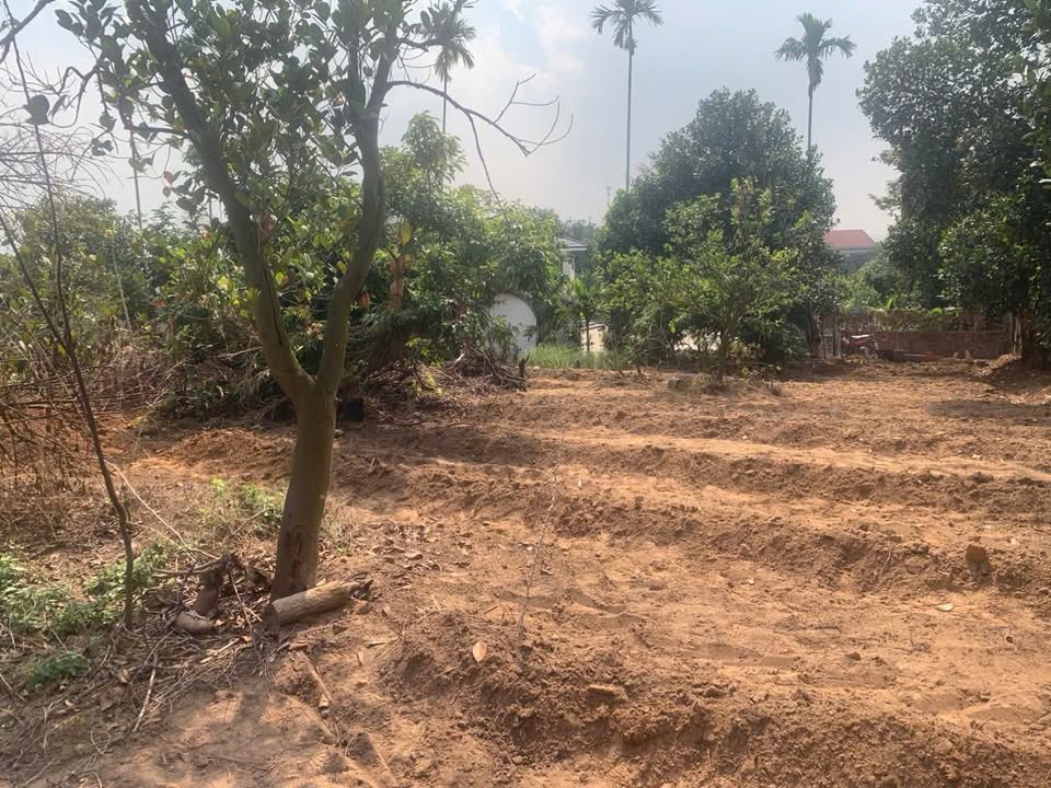 Đất nền Tràng An Đông Triều 1400m² giá chỉ 1.4 tỷ - Cơ hội đầu tư tuyệt vời!