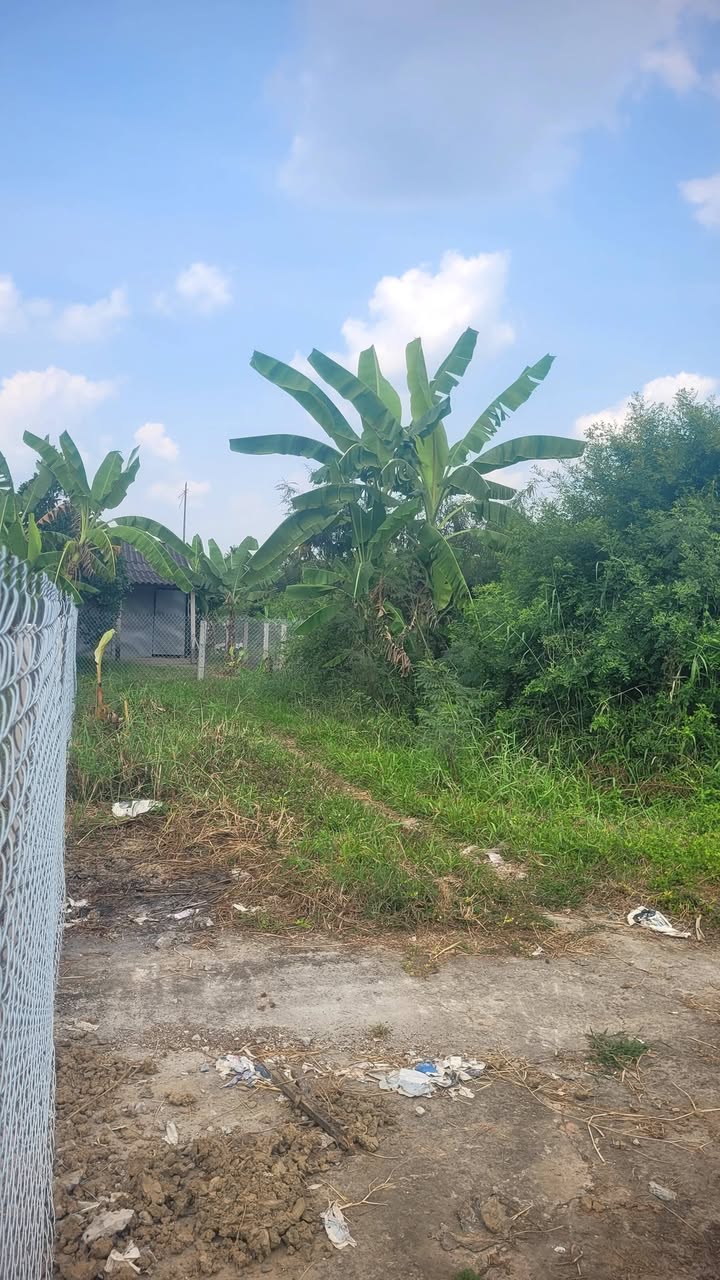 Đất nền thổ cư Xã Long Trì, Huyện Châu Thành, Long An 105m² giá 1.48 tỷ - Xây dựng tự do ngay!