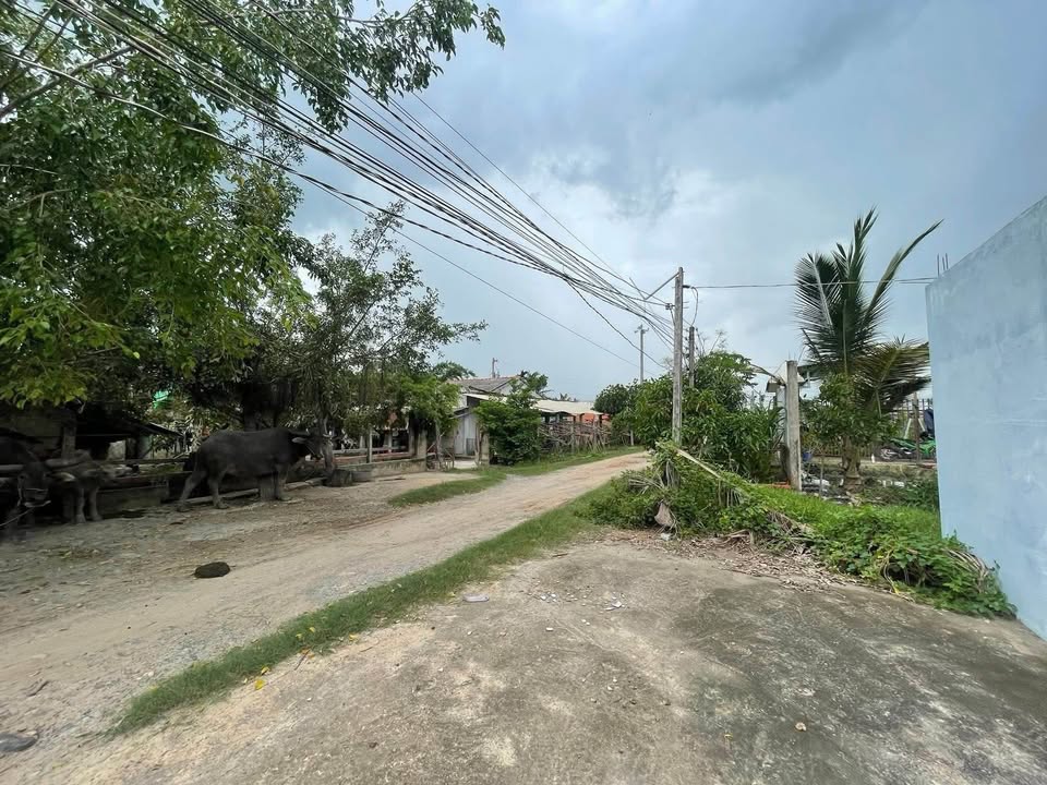 Nhà phố Hòa Khánh Nam, 430m², giá 2.5 tỷ - Cơ hội đầu tư tốt!