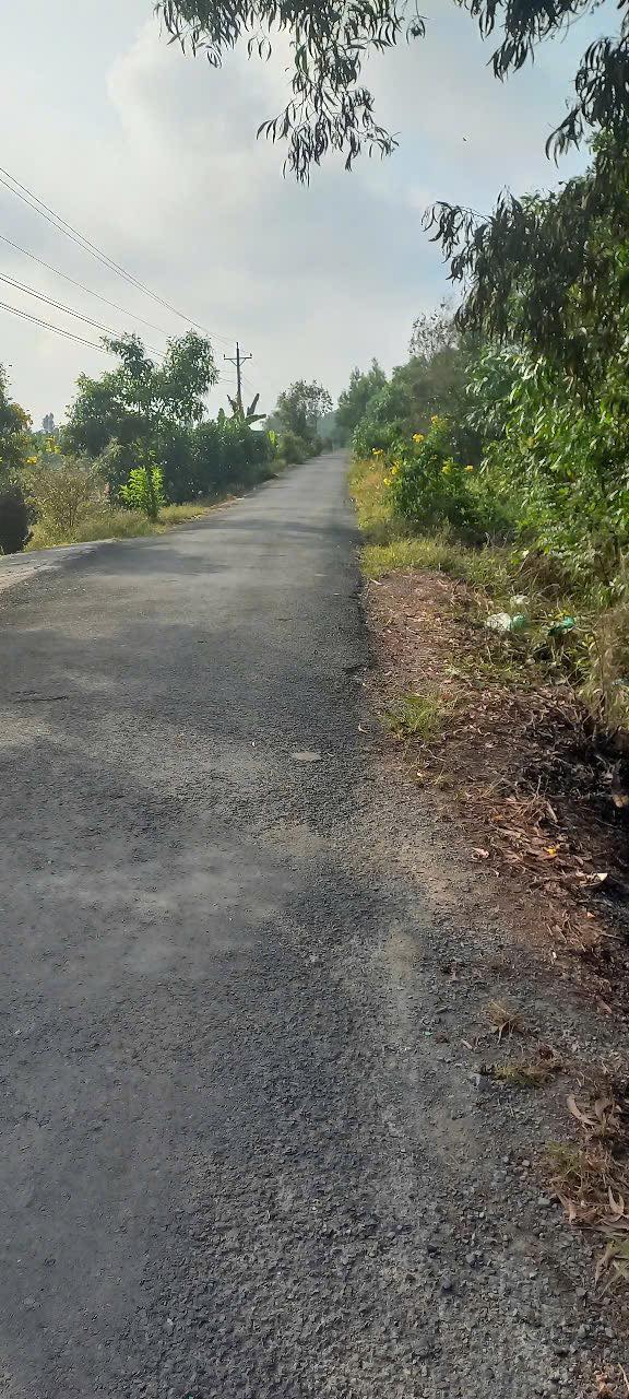 Đất nền 816m² tại Xã Tân Tây, Huyện Thạnh Hóa, Long An - Giá 600 triệu!