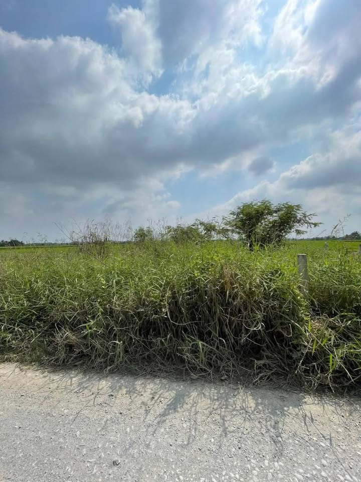 Đất thổ cư mặt tiền N9, xã Tân Lân, 127m² giá 620 triệu - Cơ hội đầu tư lý tưởng!