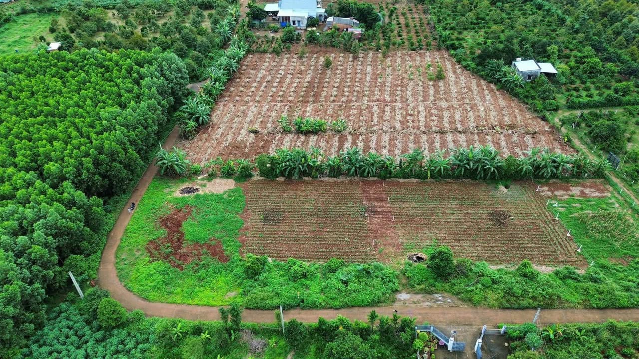 Đất nền chính chủ tại Xã Láng Lớn, Huyện Châu Đức, 126m² giá chỉ 590 triệu - Cơ hội đầu tư tuyệt vời!