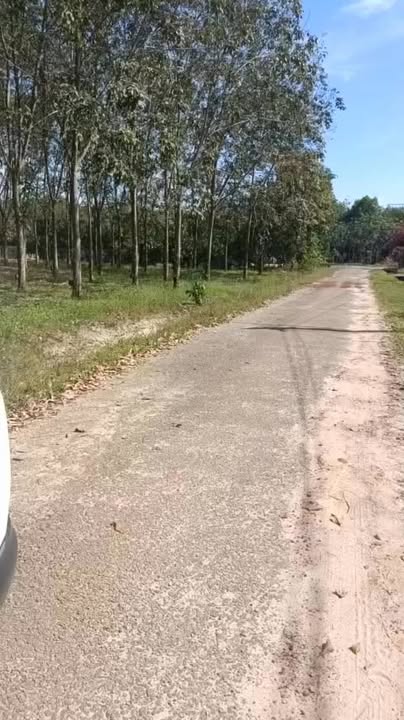 Đất nền Minh Thạnh Dầu Tiếng 4000m² giá 1.5 tỷ - Cơ hội đầu tư tuyệt vời!