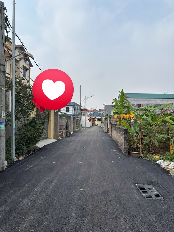 Đất nền giá rẻ tại xã Đại Bái, Bắc Ninh 90m² - Cơ hội đầu tư hấp dẫn!