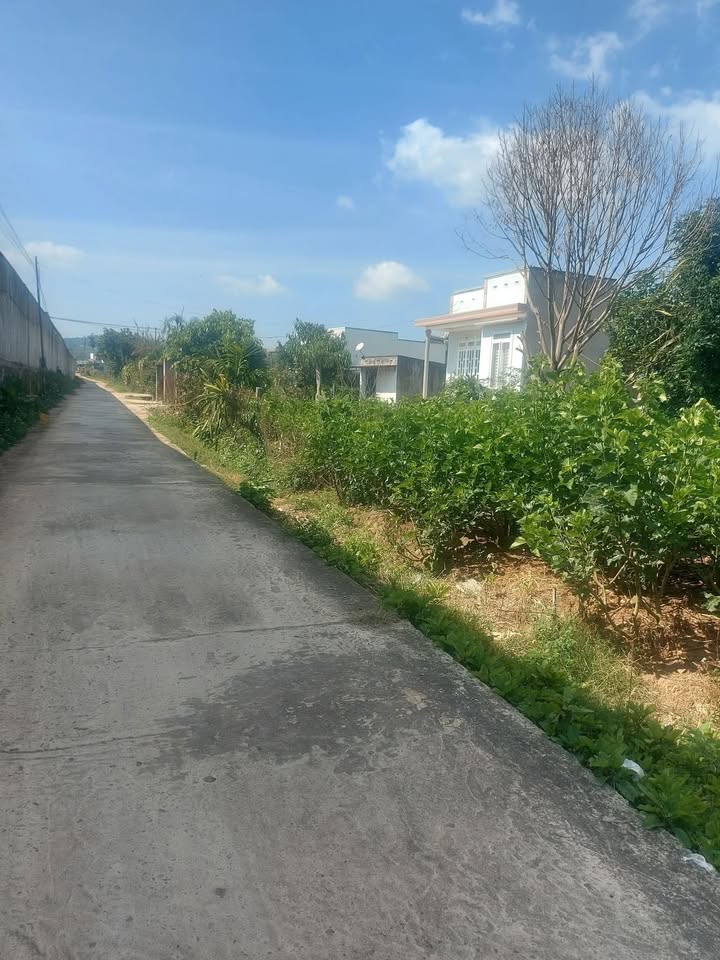 Đất nền Thị trấn Đinh Văn 450m² giá 700 triệu - Sổ đỏ chính chủ, bán gấp!