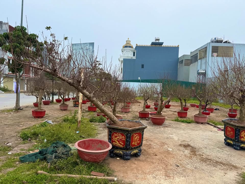 Đất lô góc đường 27 Nguyễn Lam, Phủ Lý, 120m² - Vị trí kinh doanh sầm uất!