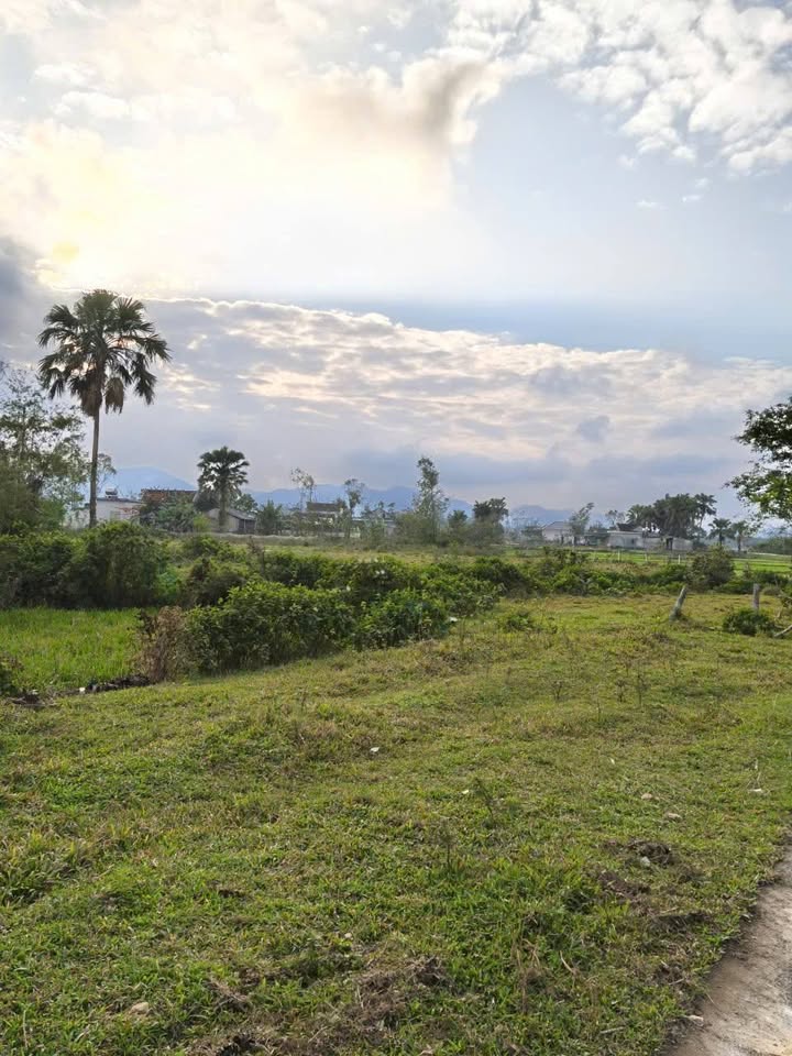 Đất nền đẹp tại Thạch Ngọc 4500m² giá 3.15 tỷ - Phù hợp làm trang trại hoặc phân lô!