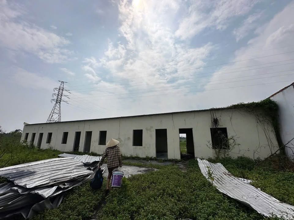 Đất nền 79m² tại Visip, Thôn Đầm, Hải Phòng - Giá chỉ 900 triệu