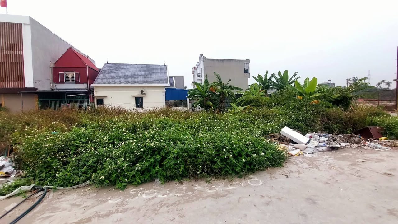 Đất nền TDP Bạch Mai, Đồng Thái, Hải Phòng 74m² chỉ 3.2 tỷ - Cơ hội đầu tư hấp dẫn!