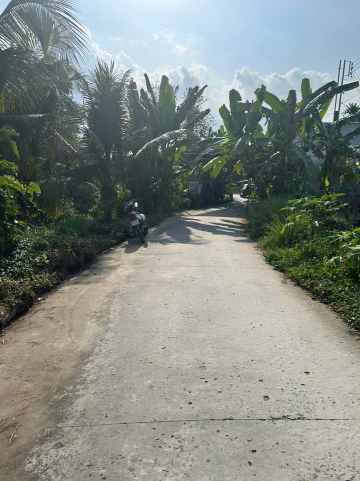 Đất thổ cư 287m² tại Ô Môn, Cần Thơ - Giá chỉ 1.45 tỷ, cơ hội đầu tư hấp dẫn!