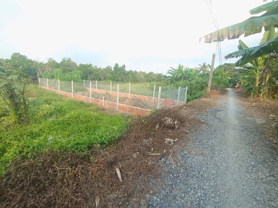 Đất thổ cư 91m² tại Xã Mỹ Thuận, Huyện Bình Tân - Giá chỉ 225 triệu