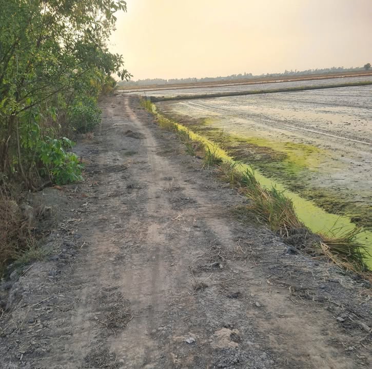 Đất thổ cư Phường Kiến Tường 1000m² giá 1.6 tỷ - Hướng Nam, cơ hội đầu tư tuyệt vời!