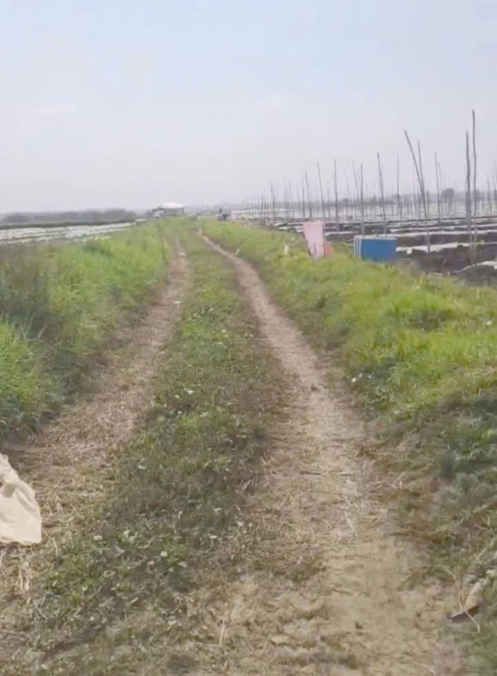 Đất nền 85000m² xã Tân Bình, huyện Tân Biên, Tây Ninh chỉ 550 triệu - Cơ hội đầu tư hiếm có!