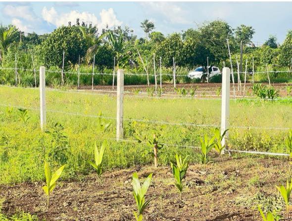 Đất nền 700m² tại xã Hòa Khánh, Buôn Ma Thuột giá 400 triệu - Đầu tư hiệu quả!