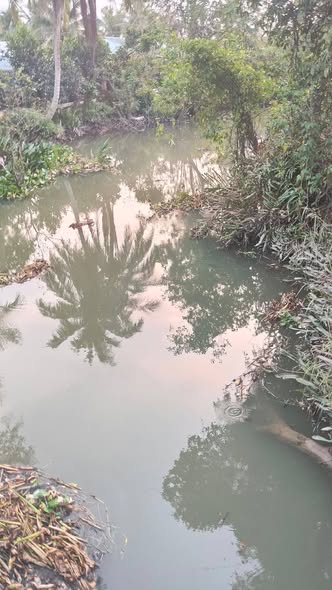 Đất nền 1500m² tại Ấp Xuân Quang, Cai Lậy giá 1.7 tỷ - Sổ đỏ chính chủ!