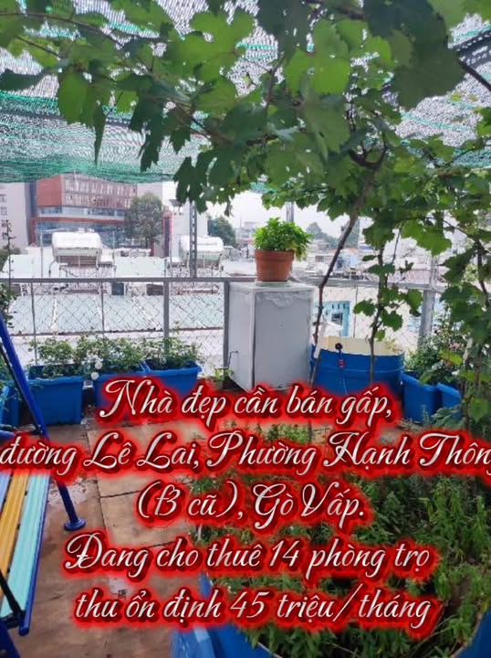 Nhà bán Gò Vấp 45m² giá 9.7 tỷ - Lô góc siêu hiếm, đầu tư sinh lời!