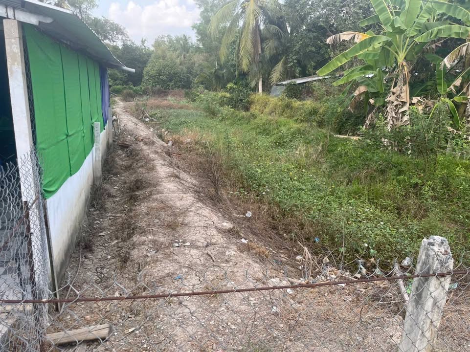 Đất nông nghiệp Tân Hưng, 462m² giá 1.388 tỷ - Cơ hội đầu tư hấp dẫn!