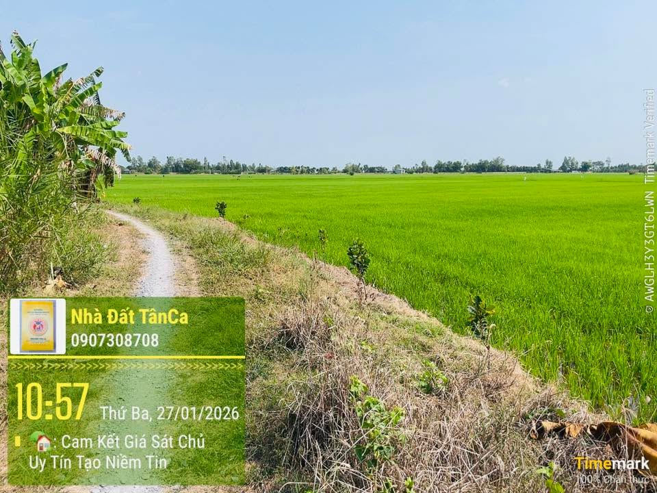 Đất nền mặt tiền 67m tại Bình Thành, Đồng Tháp - Giá chỉ 127.3 triệu!