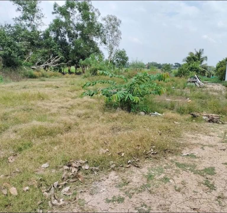 Đất nền Ấp Trà Hất, Xã Châu Thới 300m² giá 840 triệu - Mặt tiền đường 19/5!