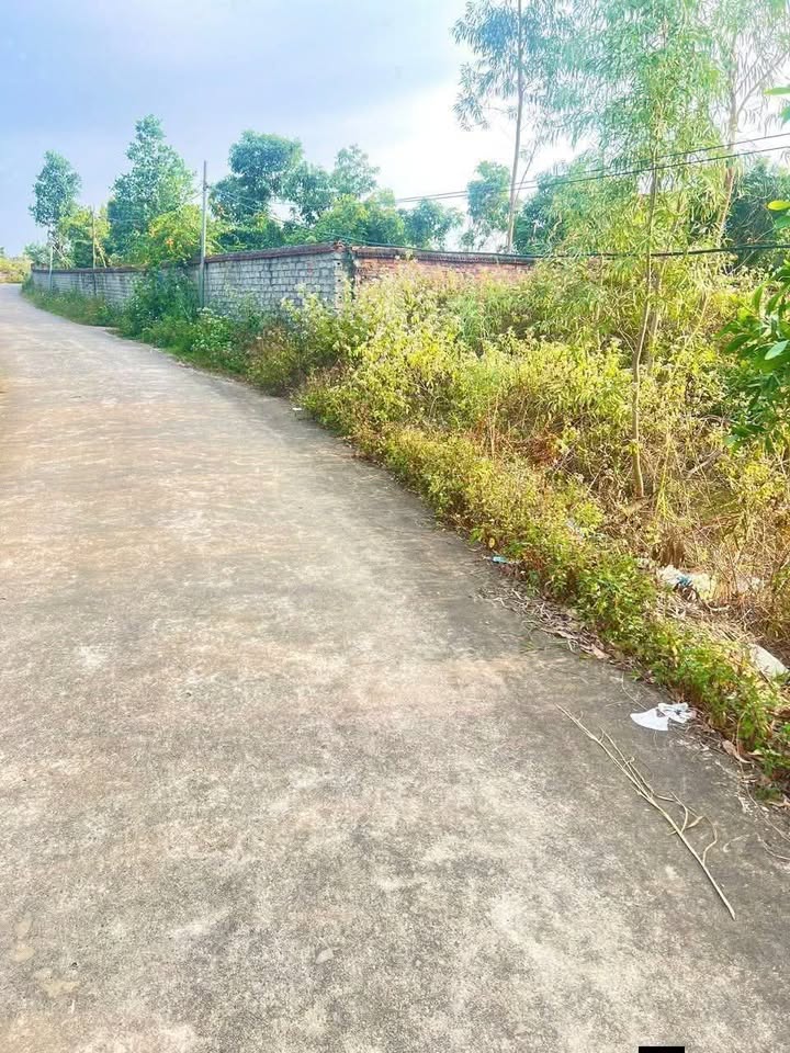 Đất ở xã Đại Lâm, huyện Lạng Giang 180m² giá chỉ 600 triệu - Cơ hội đầu tư tuyệt vời!