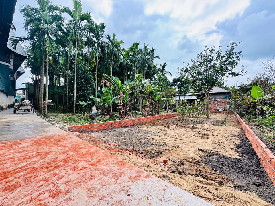 FrontHouse Nguyễn Trãi, Quận Hải Châu, 100m² giá 1.1 tỷ - Đầu tư sinh lời ngay!