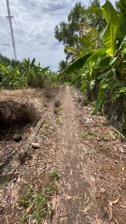 Đất vườn 2.800m² tại Tân Hoà, Châu Thành A - Pháp lý rõ ràng, giá chỉ 2.8 tỷ!