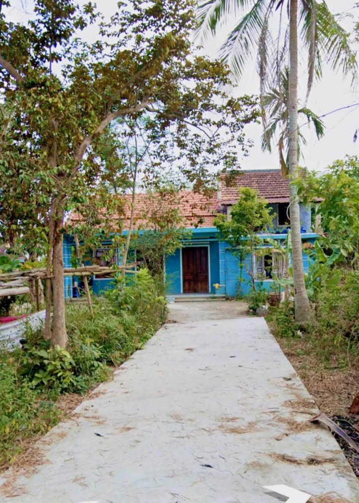 Đất nền Hòa Tiến, Đà Nẵng 116m² giá 1.48 tỷ - Đường ô tô, vị trí đắc địa!