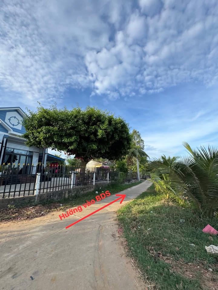 Đất nền Xã Bình Châu 128m² giá 400 triệu - Cơ hội đầu tư không thể bỏ lỡ!